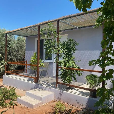 Vine Veranda Палеохора Екстер'єр фото